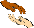 diversity